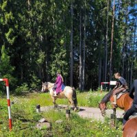 Летняя прогулка. :: Ольга 