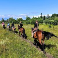 Лето, будь со мной! :: Ольга 