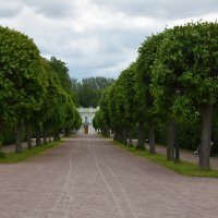 Москва. Усадьба Кусково. Аллеи. :: Наташа *****