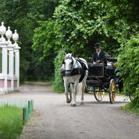 Москва. Усадьба Кусково. :: Наташа *****