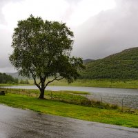 Зона отдыха пуста: дождик моросит :: Roman Ilnytskyi Зона отдыха пуста: дождик моросит :: Roman Ilnytskyi