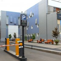 Прямизна :: Василий 