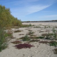 Осень :: Anna Ivanova