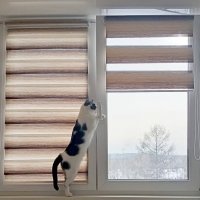 Запахло... Весной?) :: Ирина *