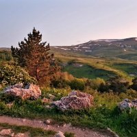 ПЛАТО ЛАГОНАКИ :: Tata Wolf