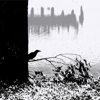 пуганая в кустах :: sv.kaschuk 