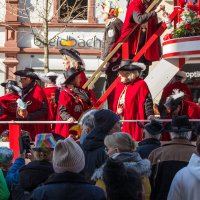 Rosenmontag 2025 :: Олег Зак Rosenmontag 2025 :: Олег Зак