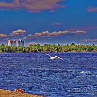 Июль...Белая чайка над рекой! :: Владимир 