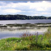 Лето :: Aleksandr Gal