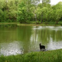 Москва. Усадьба Кусково. :: Наташа ***** Москва. Усадьба Кусково. :: Наташа *****