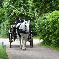 Москва. Усадьба Кусково. :: Наташа *****