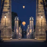 **** :: Елизавета .