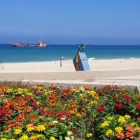 Наше Средиземное море :: Светлана Хращевская