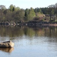 Весеннее утро :: Александр Ильчевский 