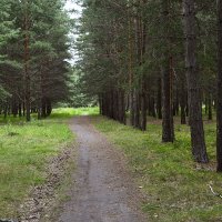 Фотостудия  макрушника :: Геннадий Супрун