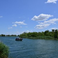 У реки. :: Виктор 