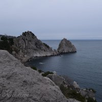 Природа Крыма :: Amazing Cosmea