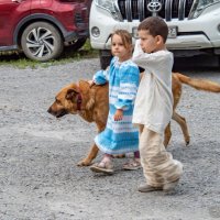 Друзья на прогулке :: Игорь Волков