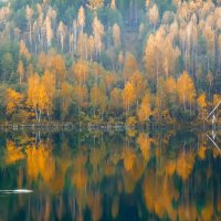 Зеркало :: александр 