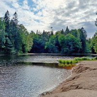 Лесное озеро, штормит немного. :: Лия ☼ Лесное озеро, штормит немного. :: Лия ☼