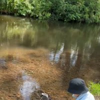 Июль. :: Венера Чуйкова