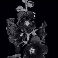 ... :: Юрий Ковшов