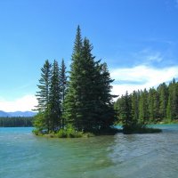 Островок. :: unix (Илья Утропов)