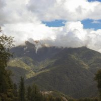 Красная поляна. :: Александр Николаев