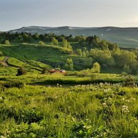 ПЛАТО ЛАГОНАКИ :: Tata Wolf