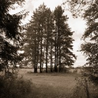 Назва. отсу. :: Денис Безногов Назва. отсу. :: Денис Безногов