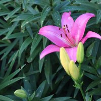 В гордом одиночестве :: Любовь Сахарова