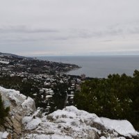 Природа Крыма :: Amazing Cosmea