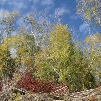 У протоки :: Anna Ivanova