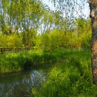 ***** :: юрий поляков