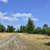 Мои дороги. :: Виктор 