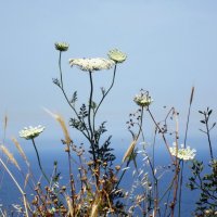 Нежность :: Натали 