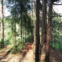 Назва. отсу. :: Денис Безногов