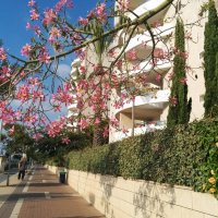 " :: Светлана Хращевская