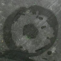 . :: Александр Хоменко