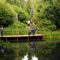 Мостки для созерцания живописных видов. :: Татьяна Помогалова Мостки для созерцания живописных видов. :: Татьяна Помогалова