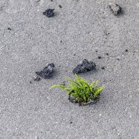 Сила природы :: Валерий Иванович