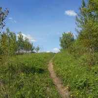 Тропинка :: Сергей Швечков