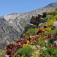 ПО ГОРАМ. :: Виктор Осипчук ПО ГОРАМ. :: Виктор Осипчук