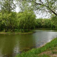 Москва. Усадьба Кусково. :: Наташа *****