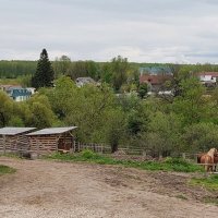 В Ясной поляне :: ИРЭН@ .