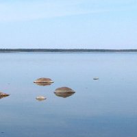 Спокойствие :: Александр Ильчевский Спокойствие :: Александр Ильчевский