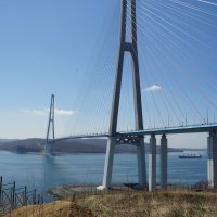 Мост Русский с Новосильцевской батареи :: Наталья Т