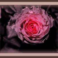 *** :: Liudmila LLF *** :: Liudmila LLF