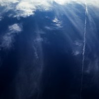 ....... :: Вадим Виловатый