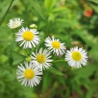 ,,, :: Сергей Тимоновский ,,, :: Сергей Тимоновский